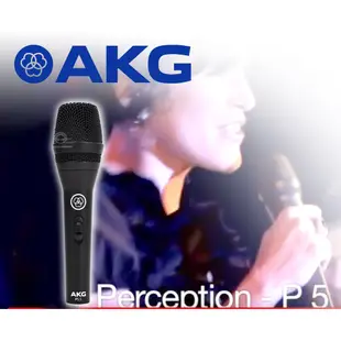 AKG P5S 專業動圈式麥克風(舞台演唱、練團錄音、直播【音響世界】