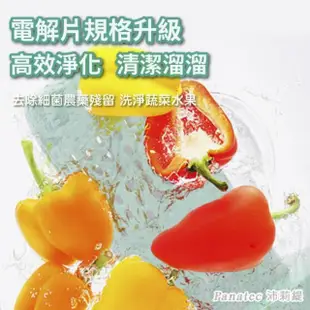 【PANATEC 沛莉緹】食材蔬菜水果淨化清洗機(K-389)