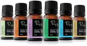 Alcyon Pure Sweet 6 Essential Oil - Essential Oils Set for Aromatherapy, Home & Personal Care - Nature's Solutions for Wellness & Comfort - Set: 6 x 10 ml with Lavender, Lemongrass, Tea Tree & More