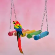 Bird Hanging Swing Toys Wood Parrot Parakeet Perches Finches Pets Accessorie_ro