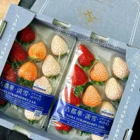 在飛比找蝦皮購物優惠-日本奈良三色草莓｜古都華、淡雪、白珍珠