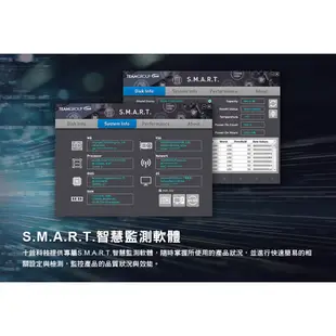 TEAM 十銓 MP44L M.2 PCIe Gen4x4 SSD 1TB 2TB 固態硬碟