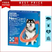 Coles dog flea treatment sales