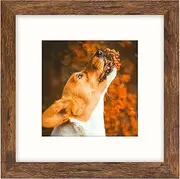 SNXJWA Brown 6x6 Picture Frame with Mat for 4x4 Display, Desk Wall Square Photo Frame for Horizontal and Vertical, 1 Pack