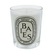 Diptyque Baies Scented Candle 6.5 Ounce Blackcurrant and Rose Aroma