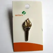 Girl Scout SENIOR LEADERSHIP PIN Torch Award SILVER & GOLD Earned Official NEW