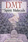 DMT: the Spirit Molecule: a Doctor'S Revolutionary Research into the Biology ...