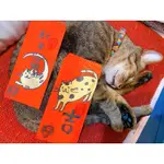 可愛貓仔貓咪溫暖手繪紅包