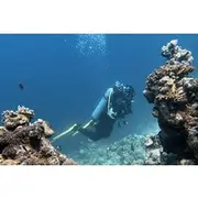 Save 20.00%! Discover Scuba Diving in Redsea