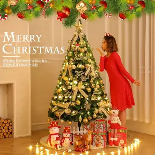 聖誕樹 聖誕樹1.5米1.8/2.1/2.4/3米聖誕節裝飾品家用套餐樹酒店場景布置 米家