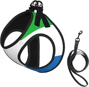 Sierra Leone flag print Dog Harness and Leash Set, Reflective Adjustable Puppy Vest for Small Medium Large Dogs, Cats