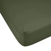 500 Thread Count Australian Grown Cotton Fitted Sheet - Double Bed, Forest