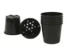 55mm Round Plastic Plant Pots x 100pcs - Propagation, Seedling