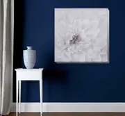 White Flower Stretched Canvas Print F135