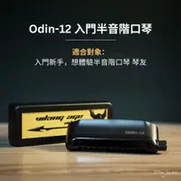 在飛比找蝦皮購物優惠-【現貨】奧丁ODIN-12孔 半音階口琴 // 入門用 //