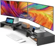 AMERIERGO Dual Monitor Stand Riser for 2 Monitors, Black