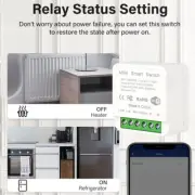 16A Tuya Smart WiFi Switch 2-way/2 Gang Control Switch Mini Breaker Smart Life C