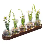Plant Propagation Station Desktop Decor Bulb Glass Vase Wooden Stand Hydroponics