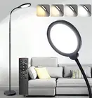 Dimmable LED Floor Standing Lamp with Remote Control and Adjustable Gooseneck