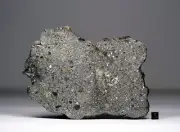 NWA 16652 - 266,1g - HED Eucrite polymict - Meteorite