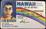 Signs 4 Fun NMLID McLovin Id License's Driver's License