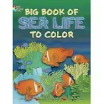 BIG BOOK OF SEA LIFE TO COLOR