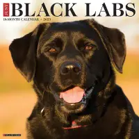 在飛比找博客來優惠-Just Black Labs 2023 Wall Cale