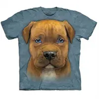 在飛比找ETMall東森購物網優惠-摩達客 自然純棉系列 小比特犬 T恤