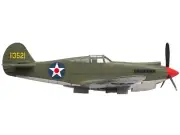 Curtiss P-40B Warhawk Aircraft "Hawaii" (1945) United States Army Air Forces "Pl