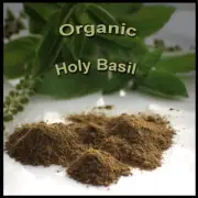 ✅HOLY BASIL POWDER ORGANIC TULSI LEAF Anti-Aging Protects the Heart and Brain!