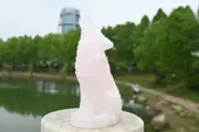 6" Natural Rose quartz wolf hand carved reiki Crystal skull decor heal gift 1pc