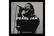 Pearl Jam - Bridging The Gap (Vinyl Double LP)