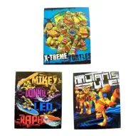 TMNT Set of 3 Folders, Mutants Forever (X-treme Turtles, Surf's Up Bro...)