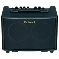 在飛比找Yahoo!奇摩拍賣優惠-【六絃樂器】全新 Roland AC-33 攜帶式 木吉他音