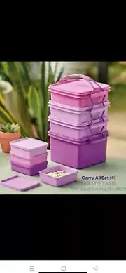 RARE NEW Tupperware ~Set of 4 Picnic Set Carry All + HANDLE + 4 Mini Squares