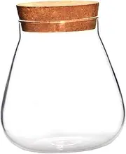 BESTonZON 1Pc Transparent Glass Candy Jar with Cork Lid DIY Art Craft Pot for Succulents Cacti Moss and Flower Planter Home Decoration