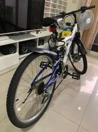 在飛比找旋轉拍賣優惠-Giant Bike DS321