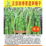 ❥原廠包裝 蘆筍種子 4-5月份種植 蔬菜之王 進口綠蘆筍種籽 菜種子 抗熱耐寒高營養 蔬菜種子🌱