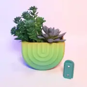 Wall Mounted Planter Colorful Indoor Decor Unique Plant Holder Vertical Garden