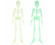 Halloween Glowing Skeleton,2 Pieces Halloween Glowing Skeleton Props Halloween Skeleton 90Cm Glowing Skeleton