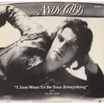 I JUST WANT TO BE YOUR EVERYTHING - ANDY GIBB（7吋單曲黑膠唱片）VINYL