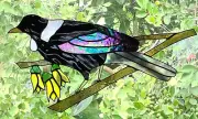 AUSTRALIAN MAGPIE on a BRANCH with FLOWERS Bespoke Stained Glass SUNCATCHER GIFT