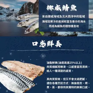 XL挪威鯖魚片 200g｜健康低脂魚肉｜煎｜烤｜蒸｜挪威鯖魚｜鯖魚｜鯖魚片｜海鮮｜冷凍食品｜冷凍海鮮批發