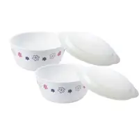 在飛比找蝦皮商城優惠-【康寧 Corelle】花漾派對4件式餐盤組-D01