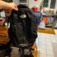 在飛比找蝦皮購物優惠-The north face 後背包 GEMINI 20L 