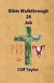 Bible Walkthrough - 28 - Job by Cliff Taylor (English) Paperback Book