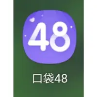 在飛比找蝦皮購物優惠-snh48.gnz48.bej48.ckg48 口袋48雞腿