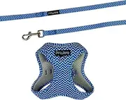 Dan & Sam Ziggy Step-in Cat Harness & Lead - Large, Comfortable & Secure Fit, Easy to Use, Durable & Adjustable, Ideal for Outdoor Adventures, Stylish Design