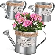 Yardenfun 3pcs Rustic Metal Flower Pot Vintage Watering Can Decorative Vase Iron Flower Holder for Home Garden