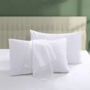 100% Egyptian Cotton Pillow Protectors Set of 2, 600 Thread Count Standard Si...